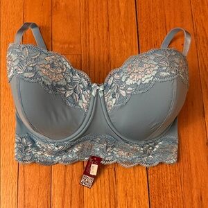 Adore Me Blue Lace Bra